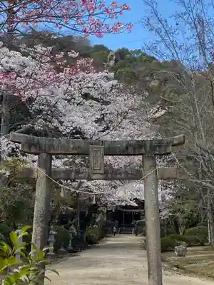早瀧比咩神社の鳥居