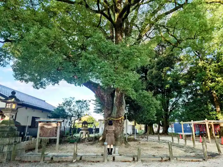 神明社(小牧神明社)の自然