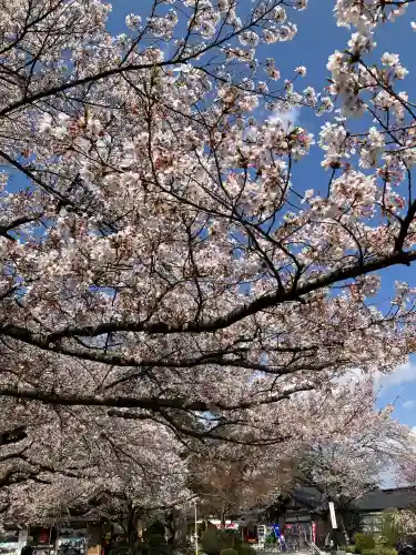 安住神社(栃木県)