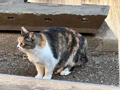 出雲伊波比神社(埼玉県)