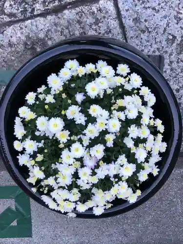 徳島眉山天神社の手水舎