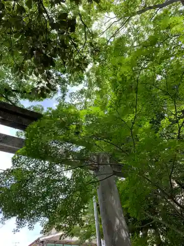 伊和志津神社(兵庫県)