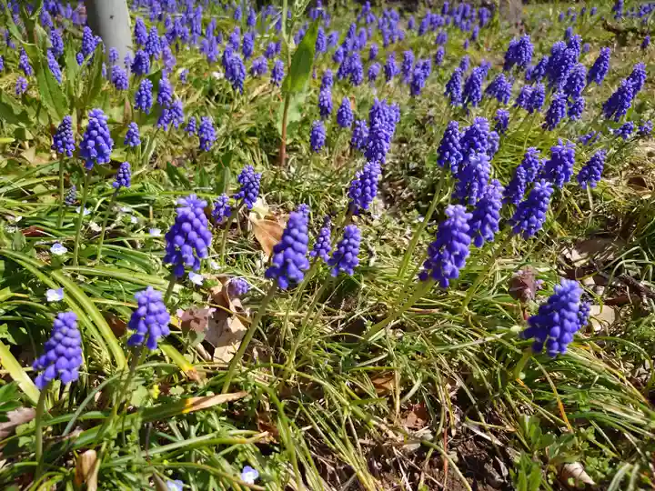 熊野神社(福島県)