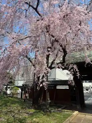 長遠寺(東京都)