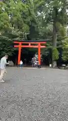 霧島神宮の鳥居