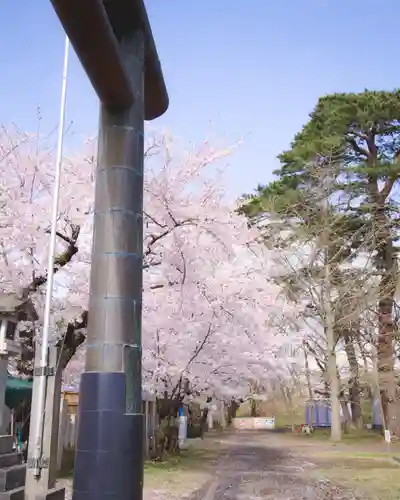 青森縣護國神社(青森県)