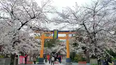 平野神社の鳥居