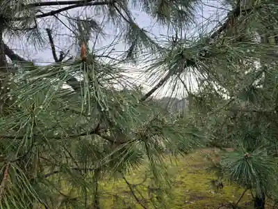 広瀬神社摂社水分神社(奈良県)