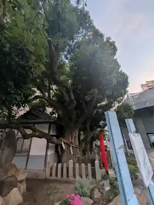 楠永神社(大阪府)