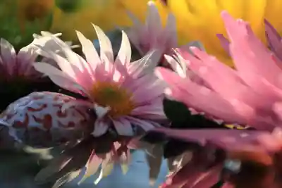 豊景神社の手水舎