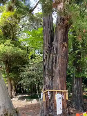 息栖神社(茨城県)