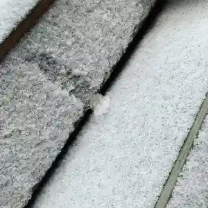 滑川神社 - 仕事と子どもの守り神のその他建物(2021年02月19日(金) 22時09分09秒投稿)