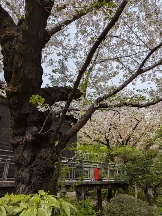 乃木神社(東京都)