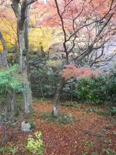 黄梅院（円覚寺塔頭）の庭園