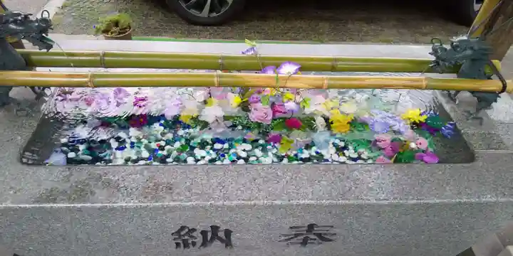 成田山札幌別院新栄寺の手水舎