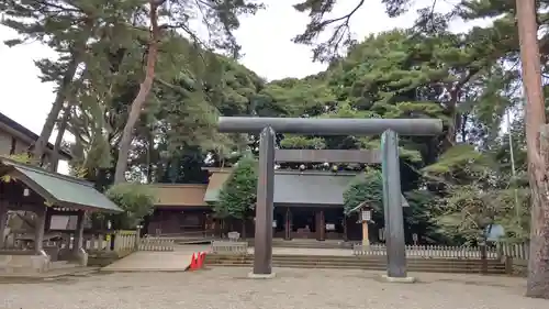 埼玉縣護國神社の鳥居