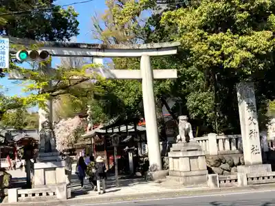 秩父神社の鳥居