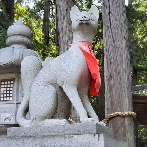 豊川閣　妙厳寺の狛犬