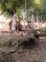 瀧澤不動尊(宮城県)