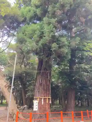 息栖神社(茨城県)