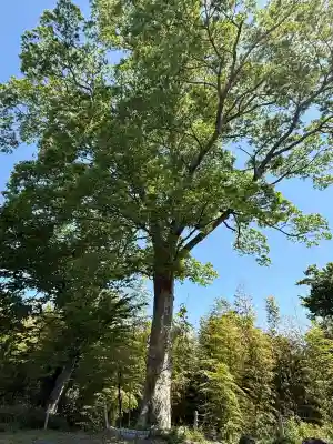 水戸八幡宮(茨城県)