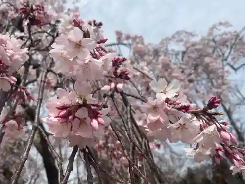 境香取神社の自然