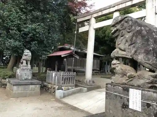 出雲伊波比神社の狛犬