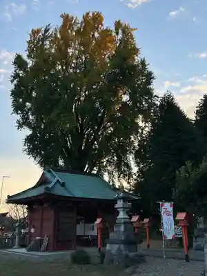 長沼八幡宮(栃木県)