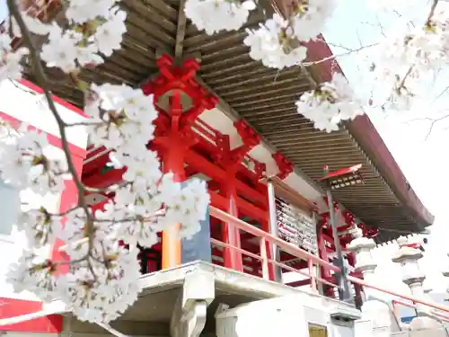 観音寺（善光寺大本願別院）の本殿