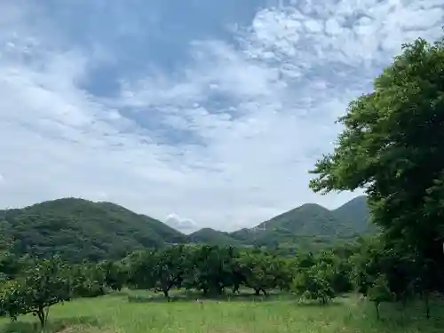 比々多神社の景色