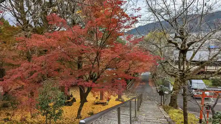 岩屋寺(京都府)