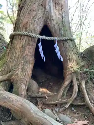 戸隠神社奥社の周辺