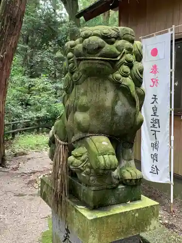 飯野高宮神山神社の狛犬