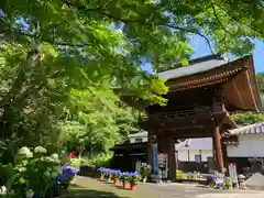 普門寺(切り絵御朱印発祥の寺)の山門