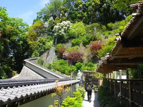 松嶺院の景色