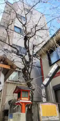 吉原神社(東京都)