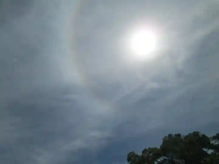 屋久島大社の自然