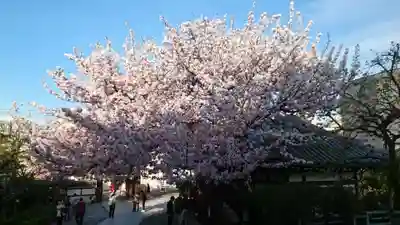感通寺(東京都)