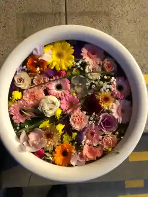 徳島眉山天神社の手水舎