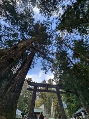 日光東照宮の{uncategorized: "未分類", other: "その他", undefined: "問題あり", building: "その他建物", grave: "お墓", sacred_gate: "鳥居", guardian: "狛犬", statue: "像", buddha: "仏像", history: "歴史", nature: "自然", garden: "庭園", animal: "動物", pagoda: "塔", temizu: "手水舎", mountain_gate: "山門・神門", sanctuary: "本殿・本堂", subordinate: "末社・摂社", art: "芸術", scenery: "景色", jizo: "地蔵", ema: "絵馬", goshuin: "御朱印", omikuji: "おみくじ", items: "授与品その他", amulet: "お守り", goshuincho: "御朱印帳", eats: "食事", festival: "お祭り", votive_dance: "神楽", shichigosan: "七五三参", wedding: "結婚式", experience: "体験その他", initially: "初詣", around: "周辺", anti_infection: "感染症対策"}