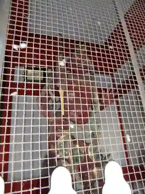 大須観音 (北野山真福寺宝生院)(愛知県)