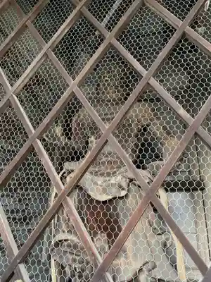 園城寺（三井寺）(滋賀県)