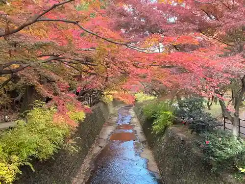 北野天満宮(京都府)