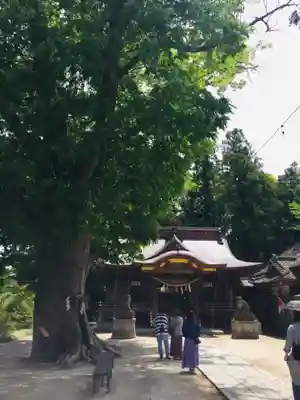 素鵞神社の本殿・本堂