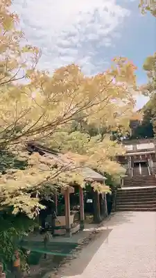 黒髪神社(佐賀県)