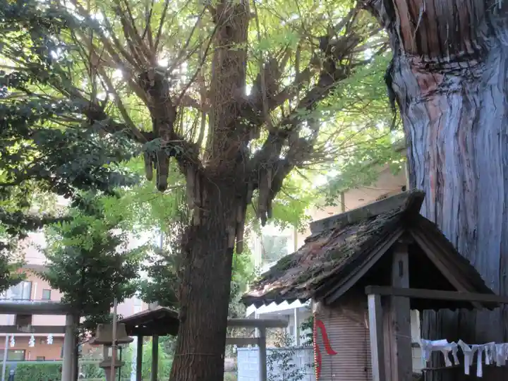 御嶽神社(東京都)