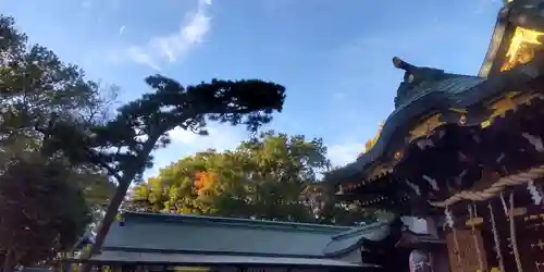 大鷲神社(東京都)