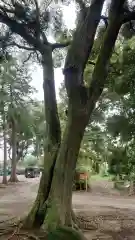 稲荷神社(愛知県)