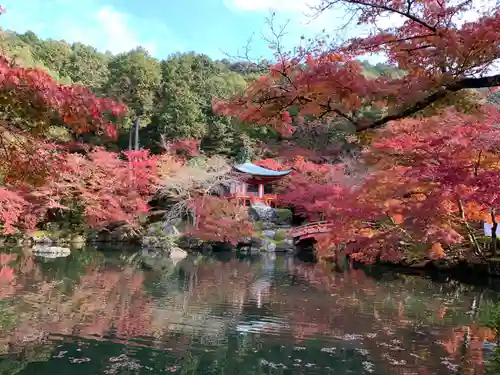 醍醐寺の景色