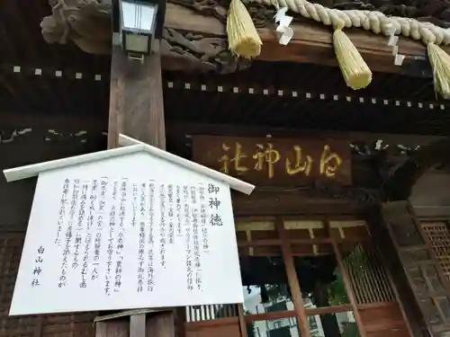 白山神社(東京都)